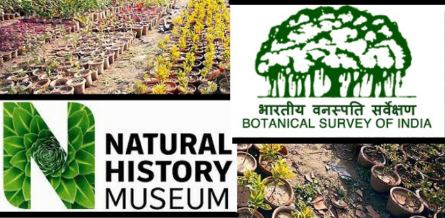 Botanical Survey of India signs MoU with UK’s Natural History Museum
